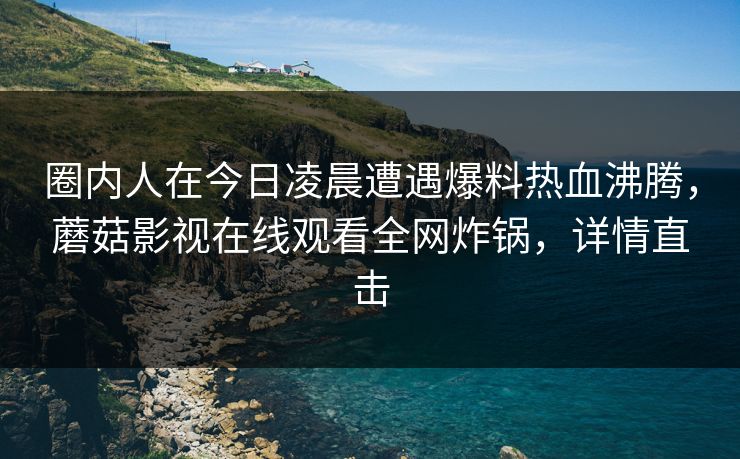 圈内人在今日凌晨遭遇爆料热血沸腾，蘑菇影视在线观看全网炸锅，详情直击