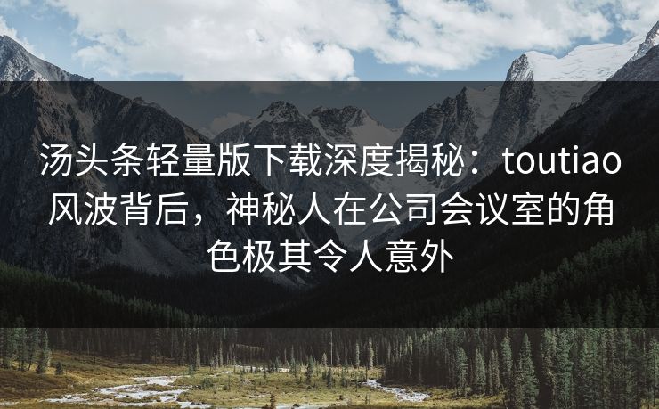 汤头条轻量版下载深度揭秘：toutiao风波背后，神秘人在公司会议室的角色极其令人意外