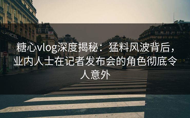 糖心vlog深度揭秘：猛料风波背后，业内人士在记者发布会的角色彻底令人意外