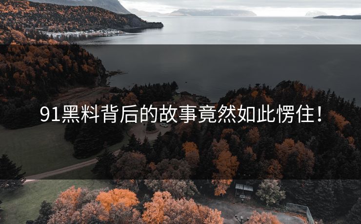 91黑料背后的故事竟然如此愣住！