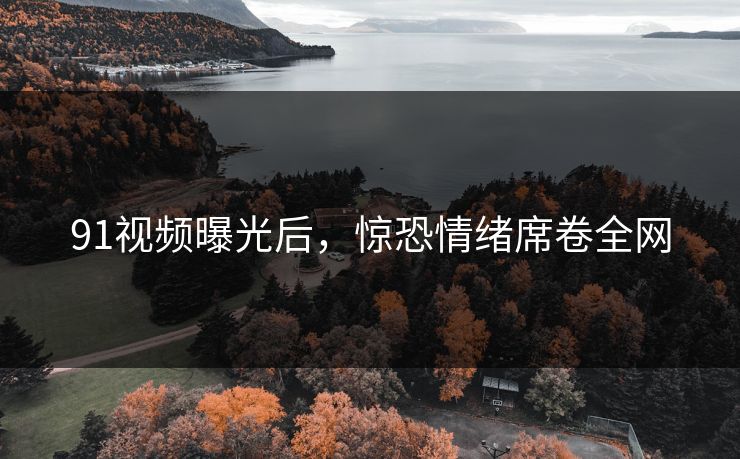 91视频曝光后，惊恐情绪席卷全网