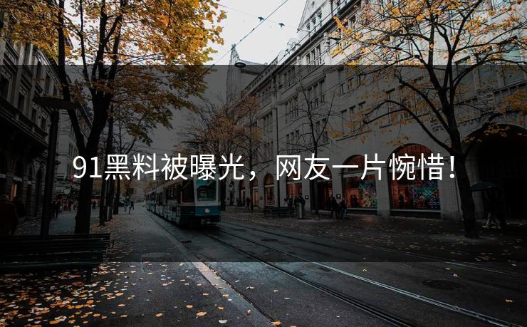 91黑料被曝光，网友一片惋惜！