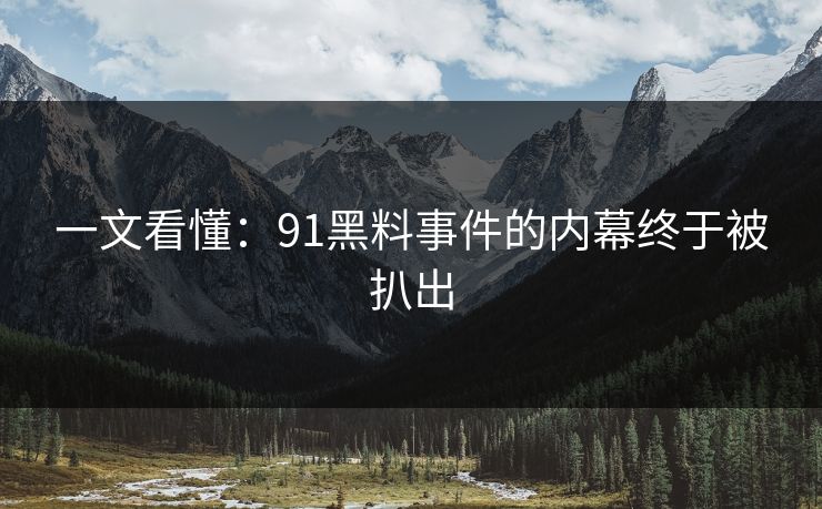 一文看懂：91黑料事件的内幕终于被扒出