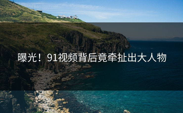 曝光！91视频背后竟牵扯出大人物