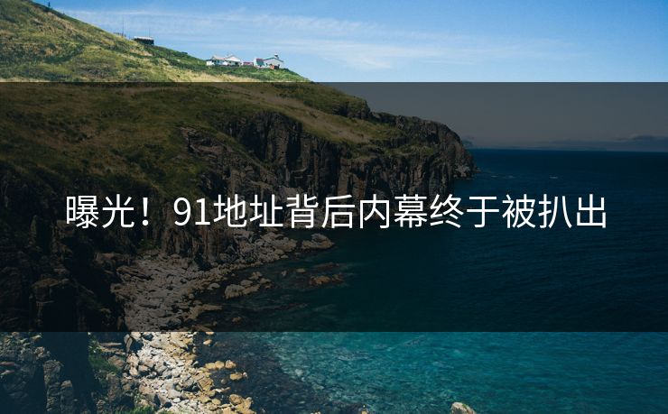 曝光！91地址背后内幕终于被扒出