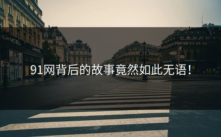 91网背后的故事竟然如此无语！