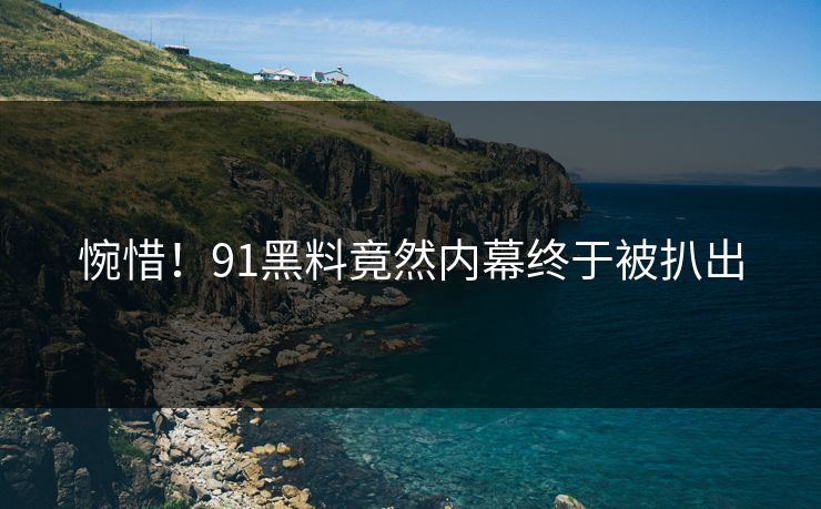 惋惜！91黑料竟然内幕终于被扒出